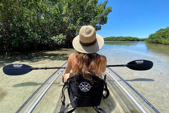 Clear Kayak Tour of Shell Key Preserve and Tampa Bay Area - Key Points