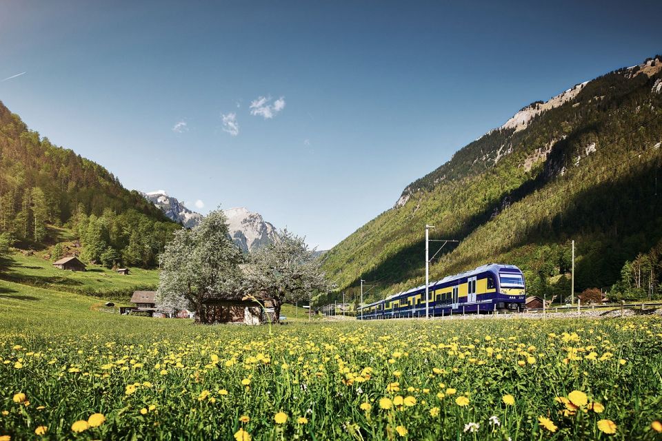Day Trip From Zurich: Grindelwald First Mountain Adventure - Activity Details