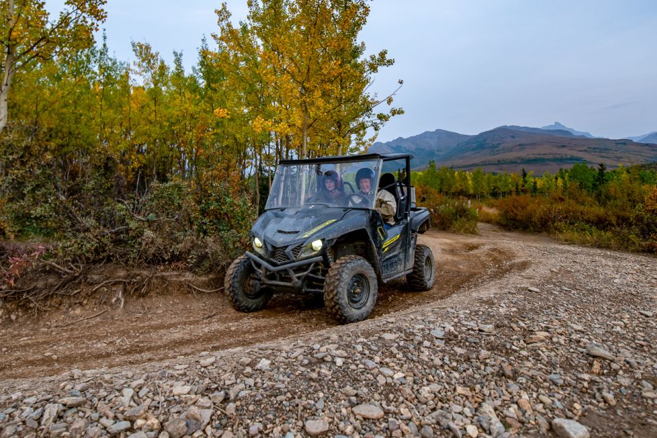 Denali National Park: Wilderness ATV Adventure - Activity Information