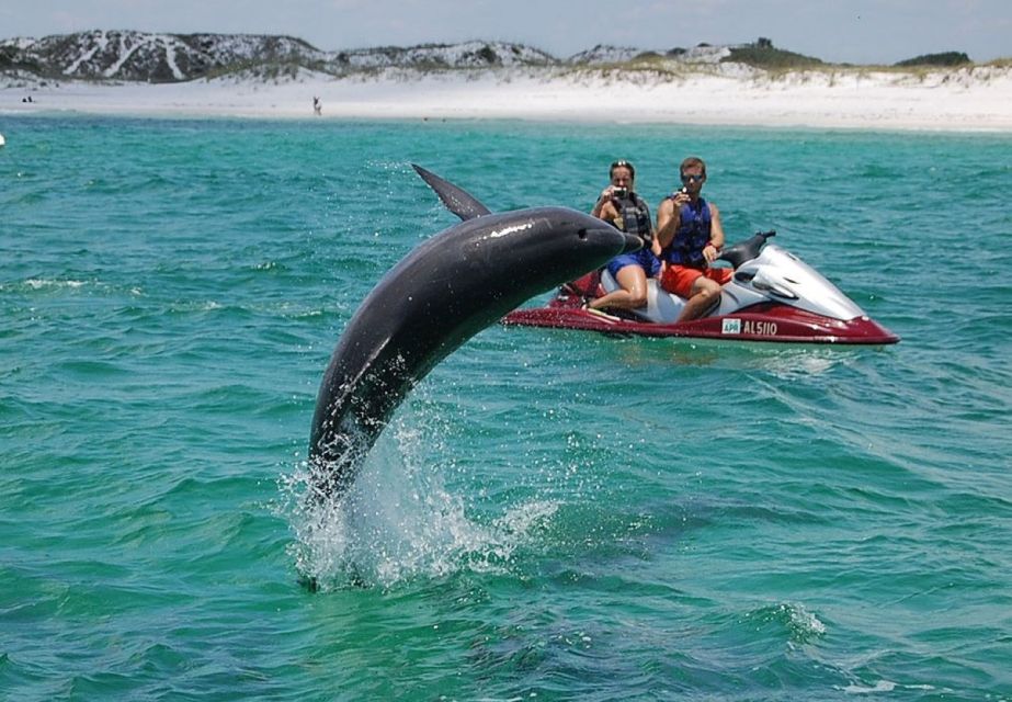 Destin: Crab Island Dolphin Watching Jet Ski Tour - Key Points