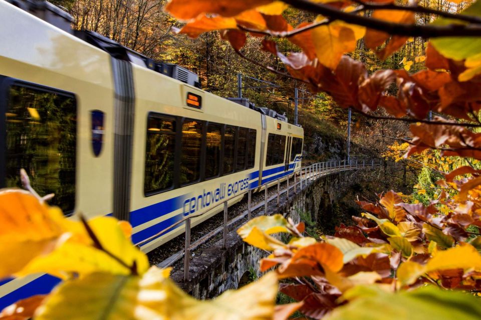 Domodossola: Centovalli Train & Valle Vigezzo Museums Ticket - Key Points