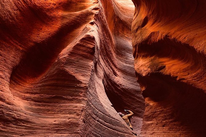 East Zion 2 Hour Slot Canyon Canyoneering UTV Tour - Key Points