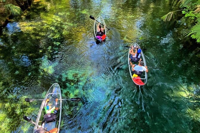 Florida: Silver Springs Small-Group Clear Kayaking Tour  - Orlando - Key Points