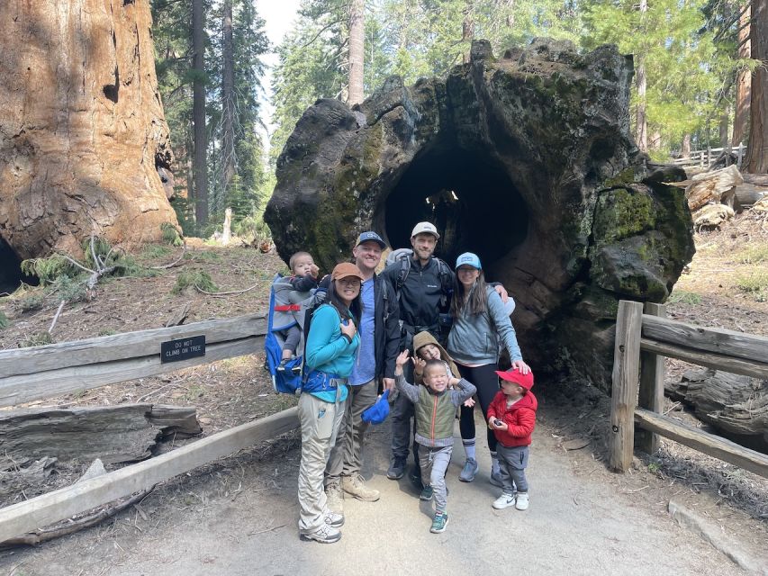 Fresno: Premier Kings Canyon National Park Tour - Key Points