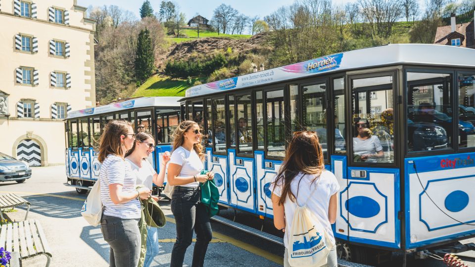 Fribourg City Card With Free Public Transport - Key Points