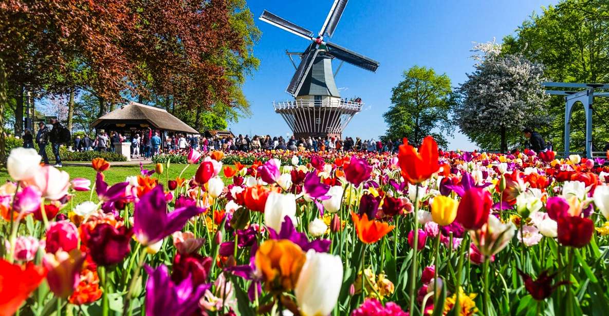 From Amsterdam: Keukenhof Entry and Roundtrip Shuttle Bus - Key Points