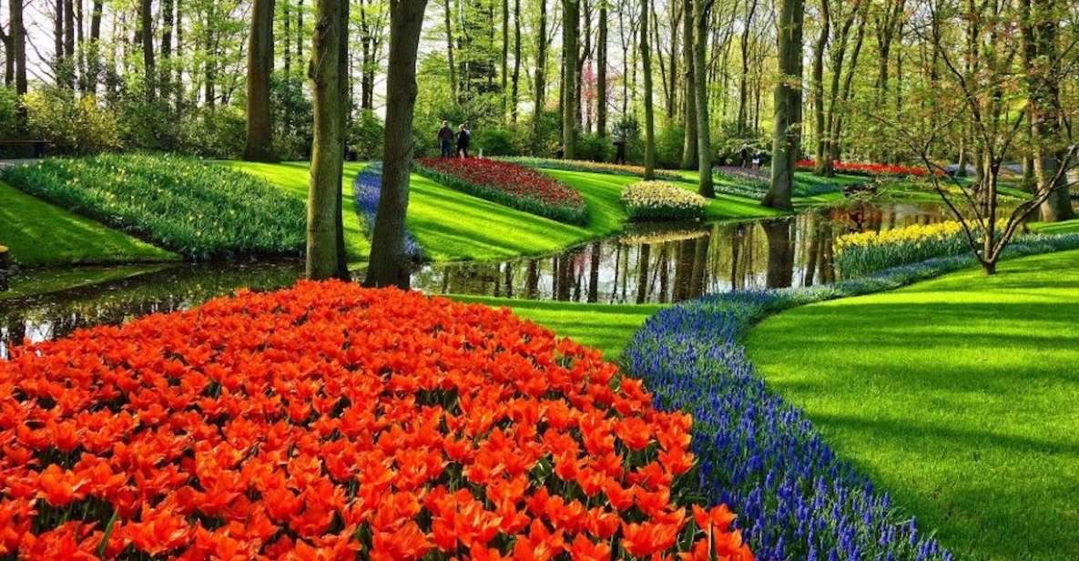 From Amsterdam: One-Way Private Transfer To/From Keukenhof - Key Points