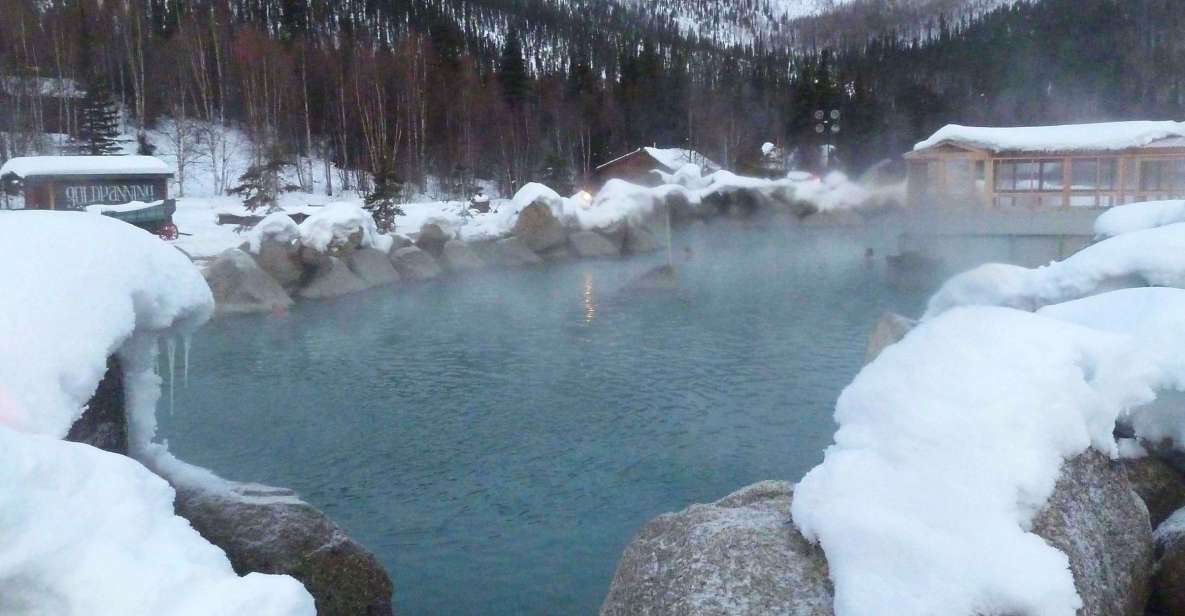 From Fairbanks: Chena Hot Springs Northern Lights Tour - Key Points