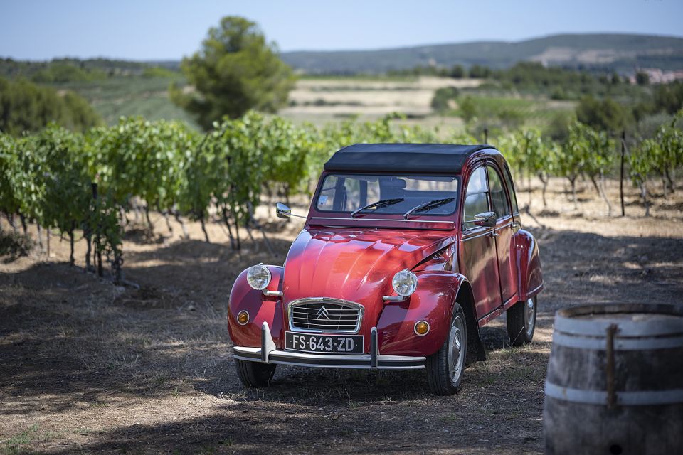 From Montpellier: Winery Tour in a Vintage Citroën 2CV - Key Points