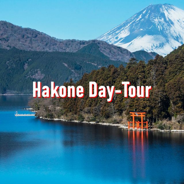 From Tokyo: 10-hour Hakone Private Custom Tour - Key Points