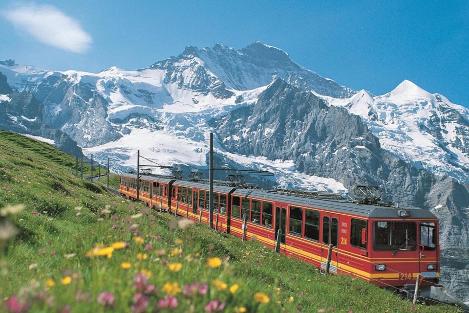 From Zurich: Jungfraujoch Guided Day Tour With Cogway Train - Key Points