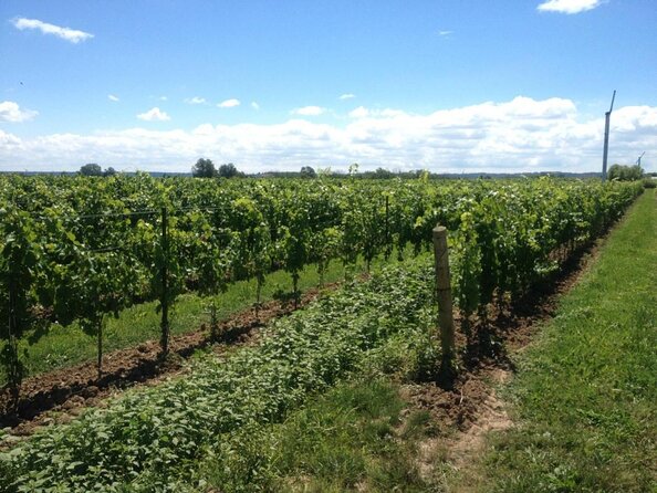 Full-Day NOTL Scooter or E-Bike Wine & Cider Tour - Key Points