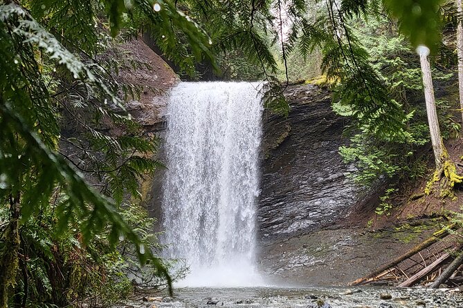 Full-Day Tour, Waterfalls, Caves, Old Growth on Vancouver Island - Key Points