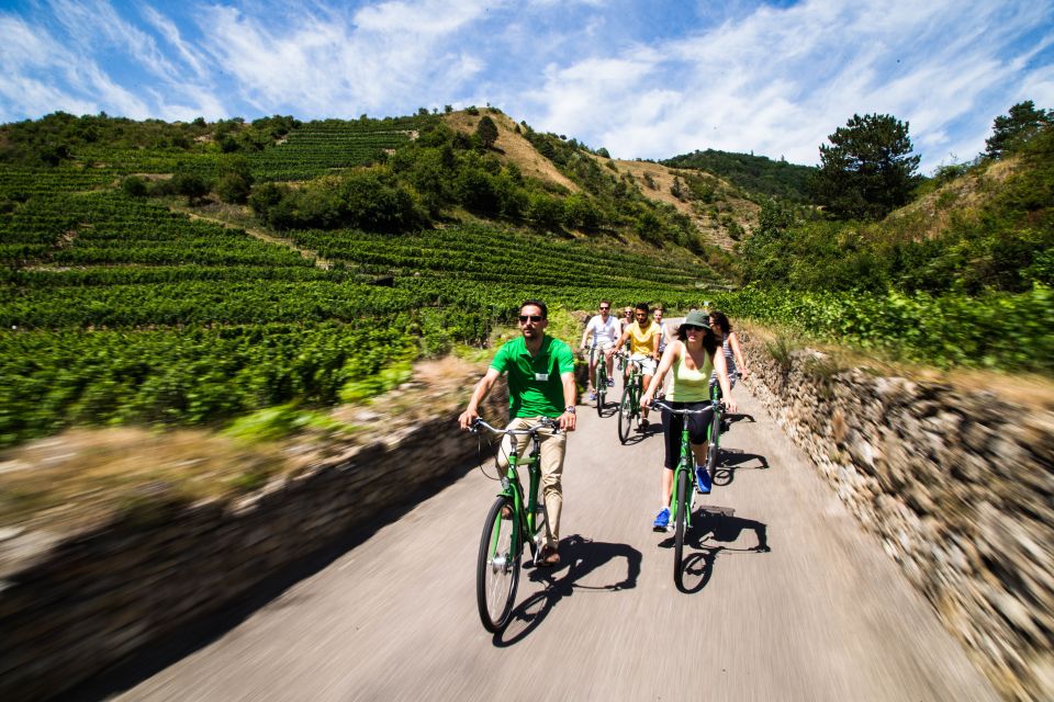 Grape Grazing: Wachau Valley Winery Biking Tour - Key Points