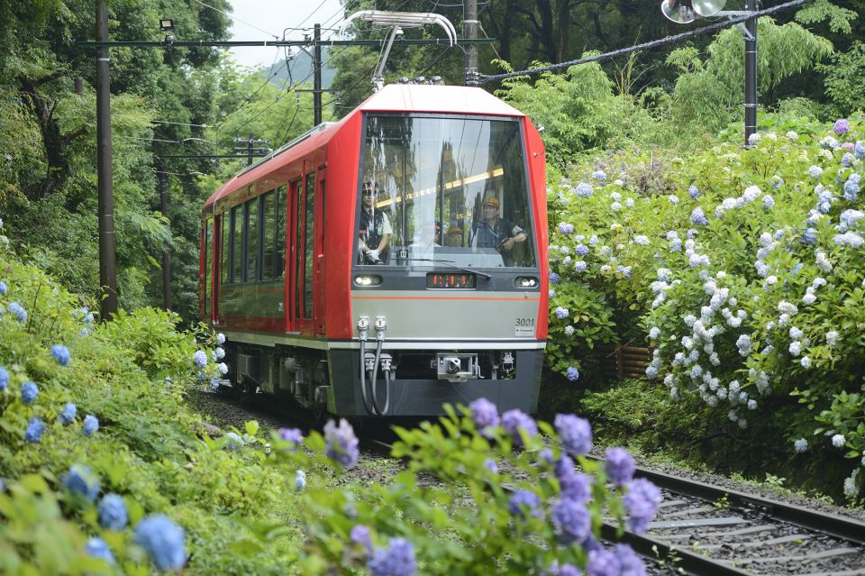 Hakone: Train Pass With Unlimited Rides & Activity Discounts - Key Points