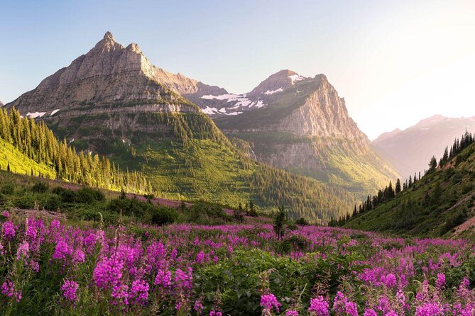 Half-Day Glacier National Park Whitewater Rafting Adventure - Key Points