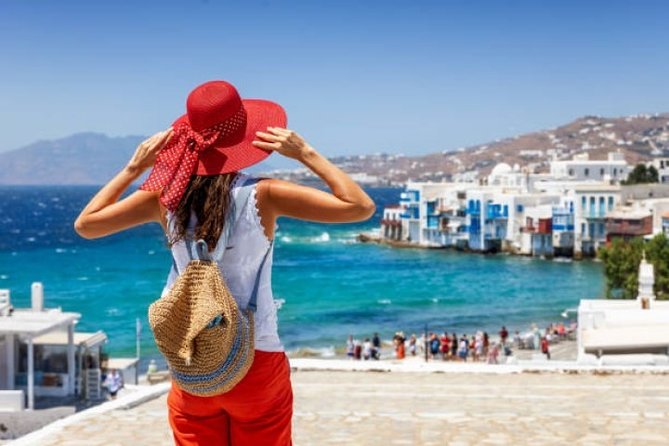 Half-Day Highlights of Mykonos Tour - Tour Overview