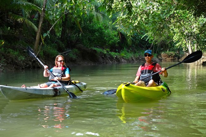 Half-Day Mangroves Tour by Kayak With a Naturalist Guide  - Quepos - Key Points