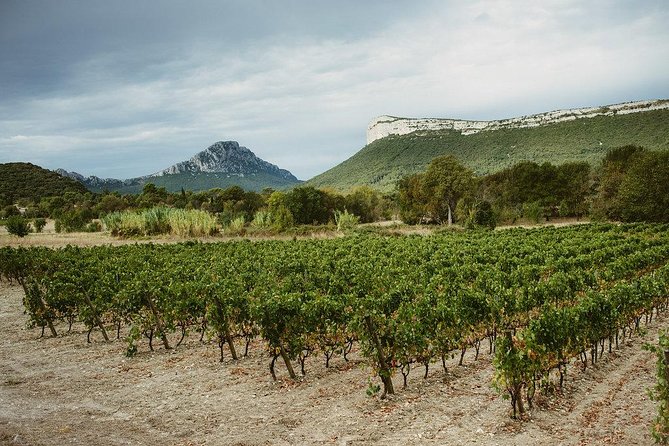 Hike to the Top of "Pic Saint Loup", Wine & Food - Key Points