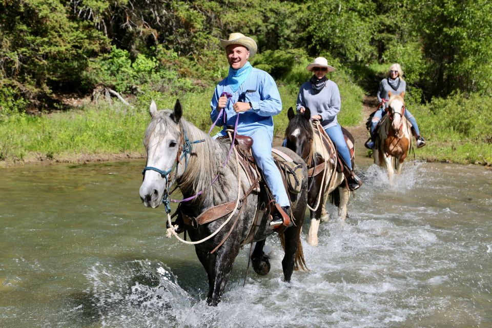 Jackson Signature 1/2 Day Ride Horseback Tour With Lunch - Key Points