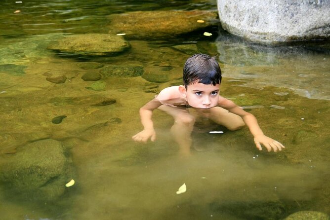 Jeep Tour Through the Waterfalls and Stills of Paraty - Key Points