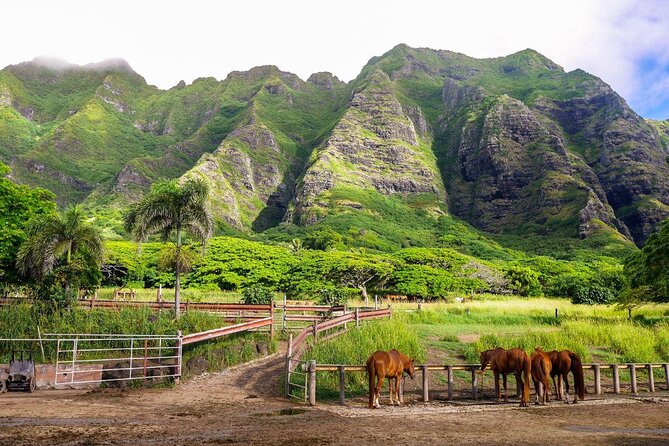 Jurassic Adventure Tour at Kualoa Ranch - Key Points