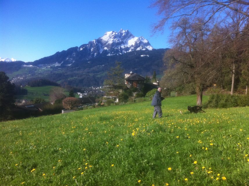 Lake Lucerne Half-day Countryside Walk - Key Points