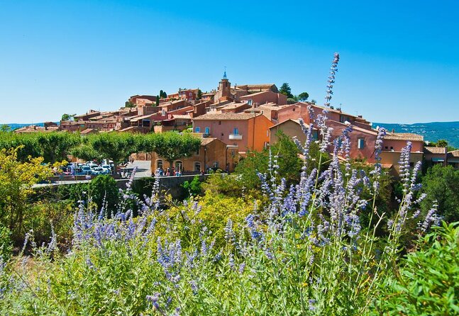 Lavender in Luberon Small Group Half-Day Trip - Key Points