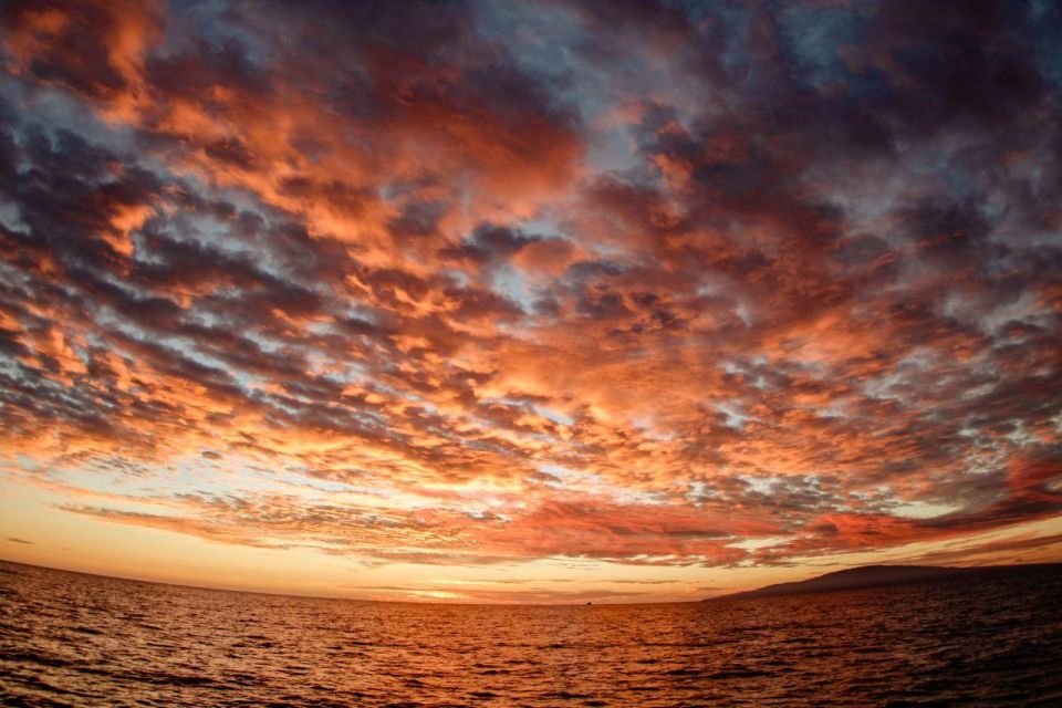 Luxury Alii Nui Royal Sunset Dinner Sail in Maui - Booking Details