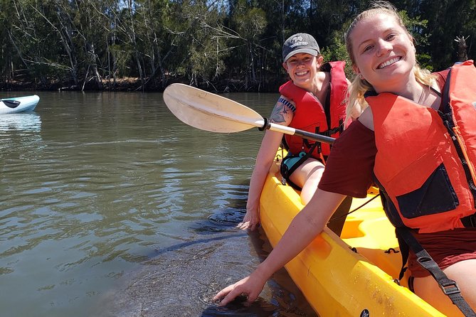 Manatee and Dolphin Kayaking Haulover Canal (Titusville) - Key Points