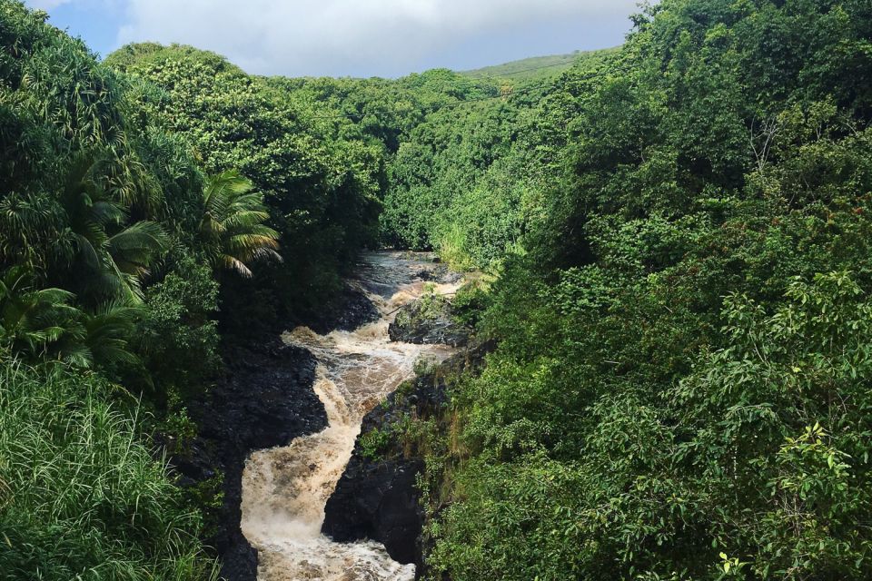 Maui Road to Hana Sightseeing Tour - Key Points