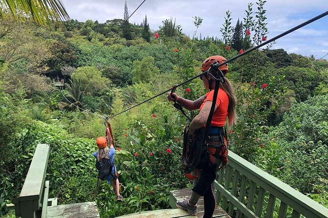 Maui Zipline Eco Tour - 8 Lines Through the Jungle - Key Points