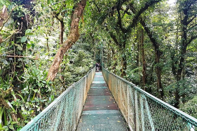 Monteverde Hanging Bridges Day Trip From San Jose - Convenient Pickup Locations and Times