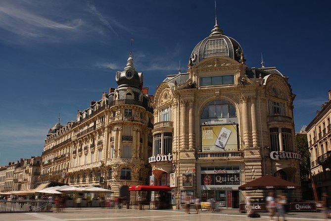 Montpellier Private Walking Tour With A Professional Guide - Key Points