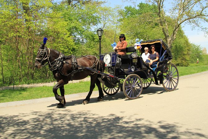New York City: Central Park Private Horse-and-Carriage Ride - Key Points