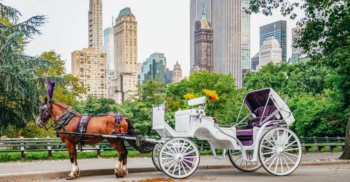 NYC: Guided Central Park Horse Carriage Ride - Key Points