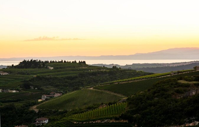 Pagus Wine Tours - a Taste of Valpolicella - Half Day Wine Tour - Key Points