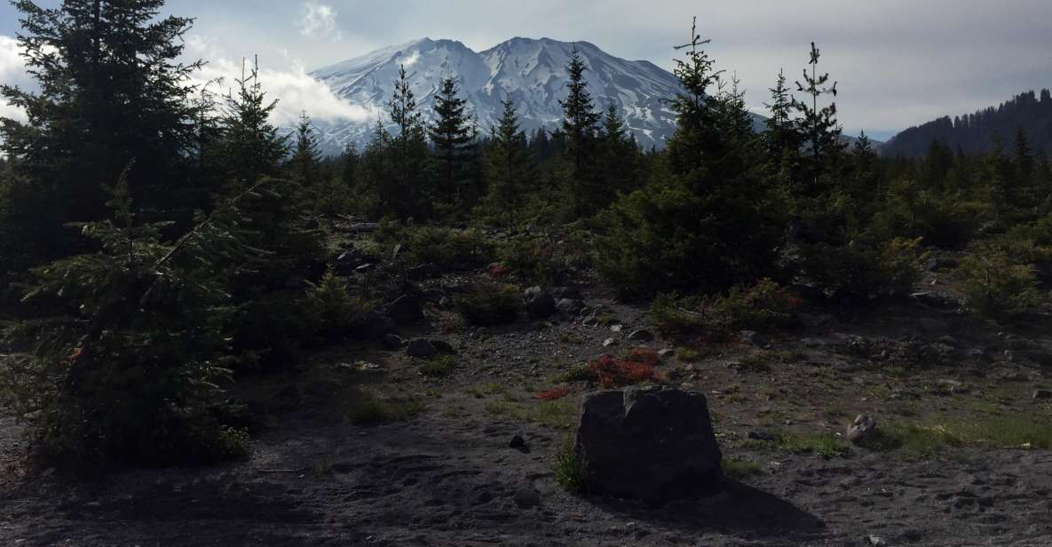 Portland: The Mt. St. Helens Adventure Tour - Key Points