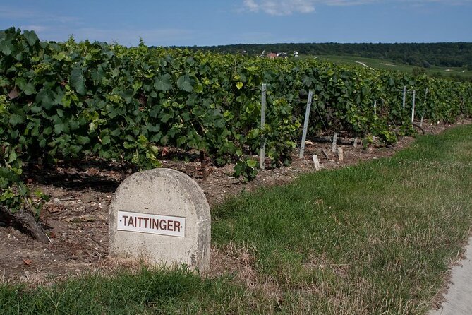 Private Full Day Tour to Champagne From Paris, Visit of 2 Champagne Producers - Key Points