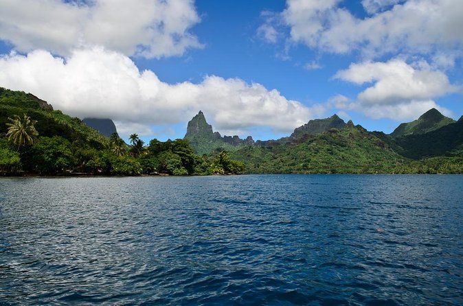 Private Moorea Day Tour - Key Points