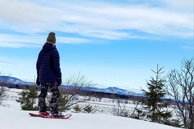 Private Snowshoeing on the Ile Dorléans - Key Points