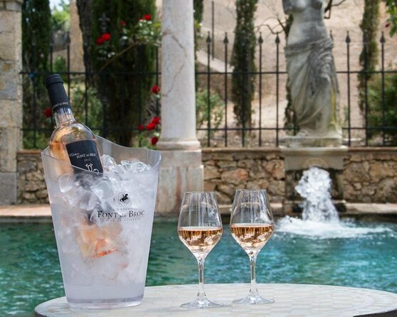 Provence Wine Tour - Private Day Tour From Cannes - Key Points