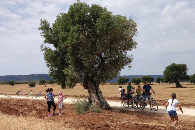 Puglia Bike Tour: Cycling Through the History of Extra Virgin Olive Oil - Key Points
