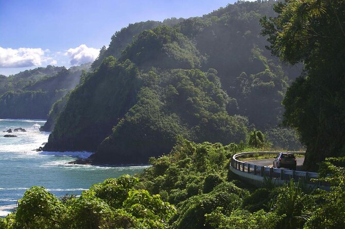 Rappel Maui Waterfalls and Rainforest Cliffs - Key Points