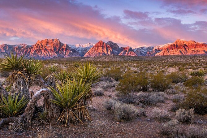 Red Rock Canyon Sunset Horseback Ride and Barbeque Dinner - Key Points