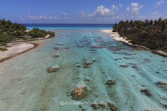 Reef Island Private Tour - Key Points