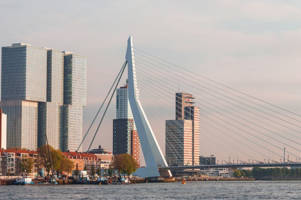 Rotterdam Highlights Self-Guided Scavenger Hunt & Tour - Key Points