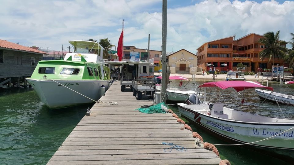 San Pedro: Guided Family Walking Tour - Key Points