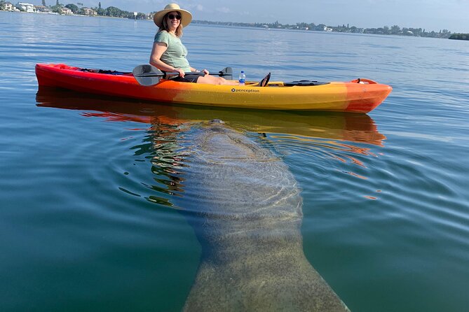 Sarasota Mangroves Kayaking Small-Group Tour - Key Points