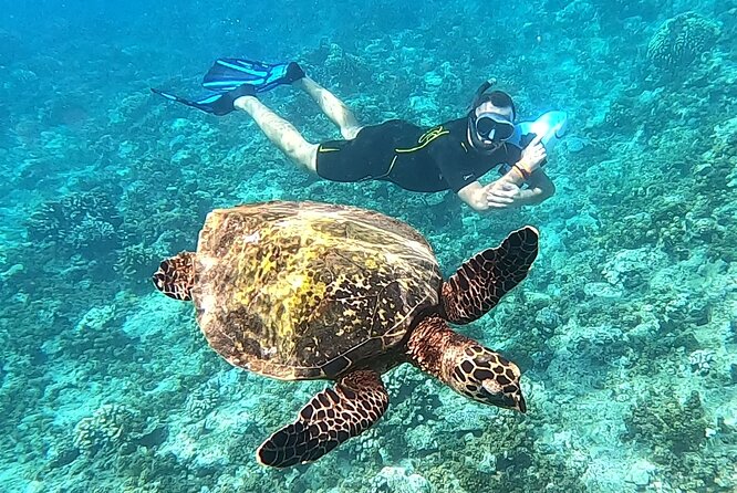 Sea Scooter Snorkel Tour - Reef Adventure With Turtles, Rays and Sharks - Key Points